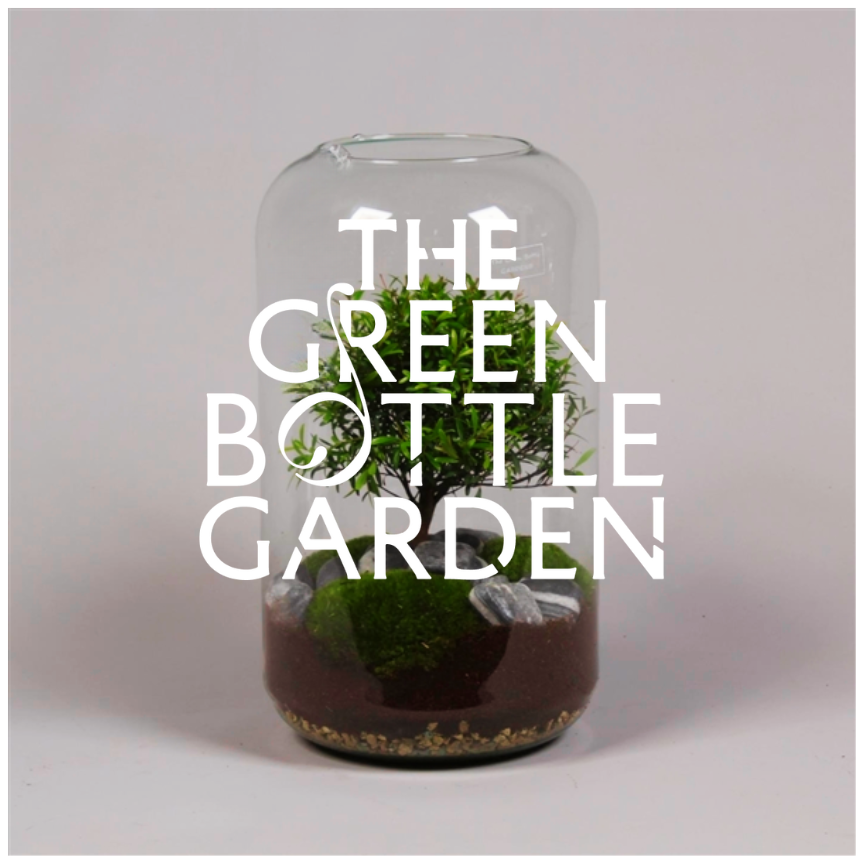 A lush terrarium featuring 'The Green Bottle Garden' brand's thriving plants, a harmonious display of nature's beauty.